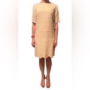 W by Worth Cream Lace Midi Dress